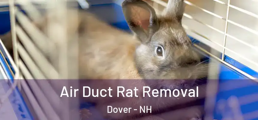  Air Duct Rat Removal Dover - NH