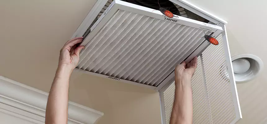 Preventive Cockroach-Proofing for Ducts in Dover