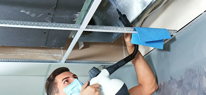 Our Air Duct Rodent Removal Services in Dover, NH