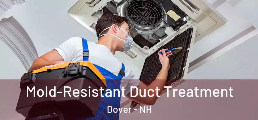  Mold-Resistant Duct Treatment Dover - NH