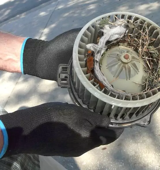 About Air Duct Rat Removal in Dover, NH