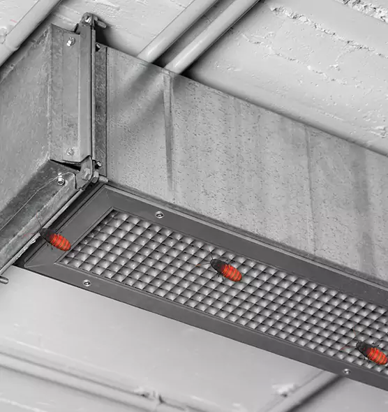 Affordable Insect Removal from Air Ducts in Dover, NH