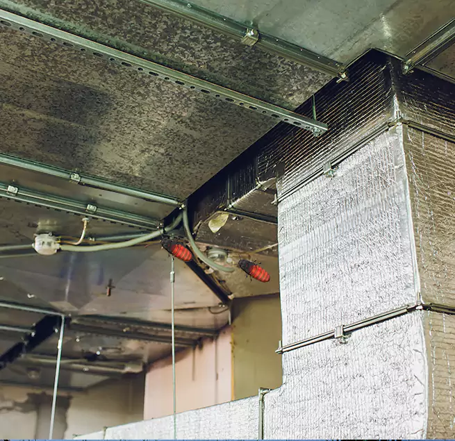 Why Homeowners & Businesses Trust Us in Dover, NH?