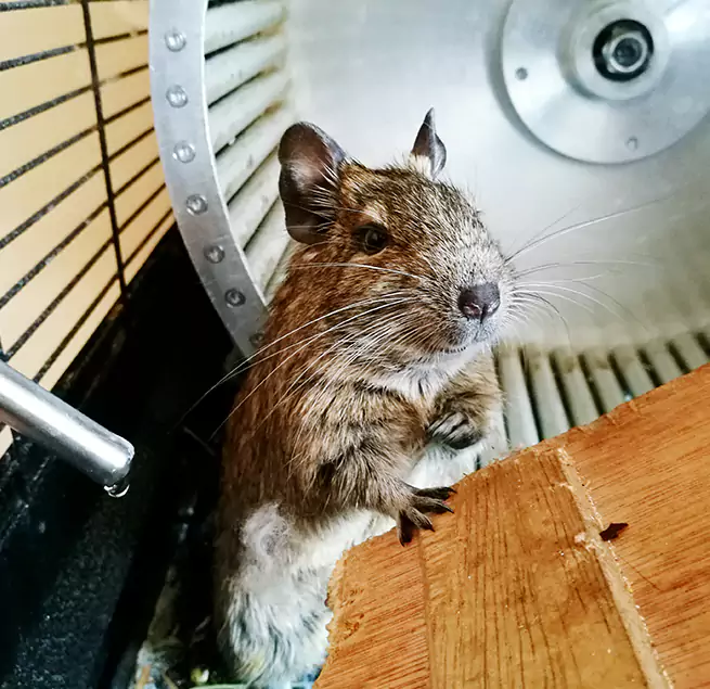 Why Homeowners & Businesses Trust Us Dover, NH