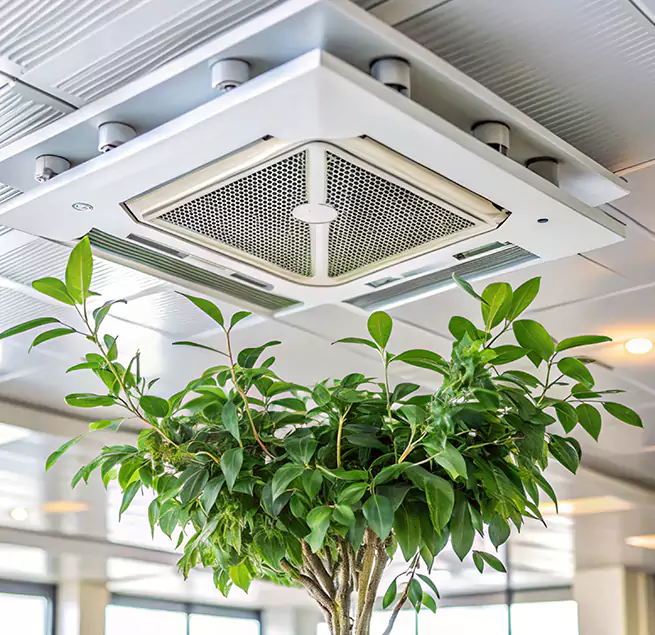 Why Homeowners & Businesses Trust Us in Dover, NH